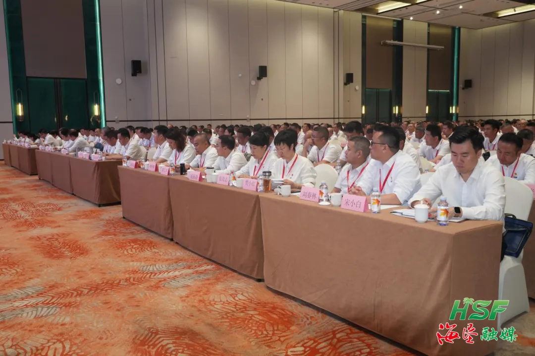 1775051600329031828.jpg 1775051600329031828.jpg