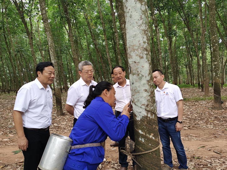 �ƽ�Ǽ��Ź���|��ҳ