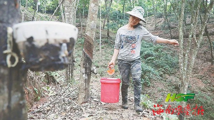 �ƽ�Ǽ��Ź���|��ҳ