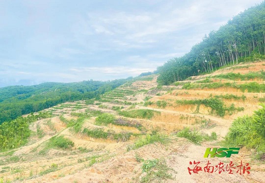 �ƽ�Ǽ��Ź���|��ҳ