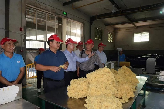 �ƽ�Ǽ��Ź���|��ҳ