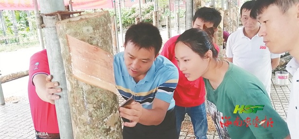 �ƽ�Ǽ��Ź���|��ҳ