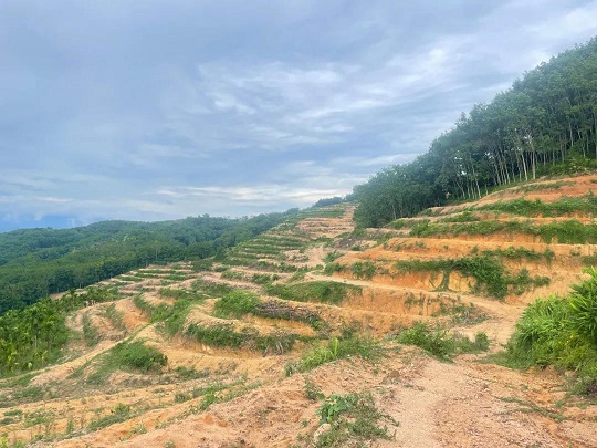 �ƽ�Ǽ��Ź���|��ҳ