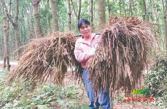 �ƽ�Ǽ��Ź���|��ҳ