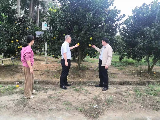 �ƽ�Ǽ��Ź���|��ҳ