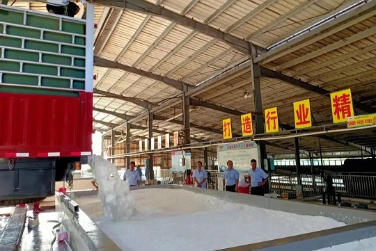 �ƽ�Ǽ��Ź���|��ҳ