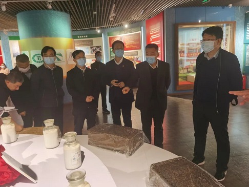 �ƽ�Ǽ��Ź���|��ҳ