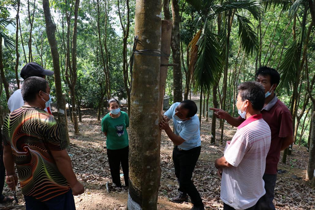 �ƽ�Ǽ��Ź���|��ҳ