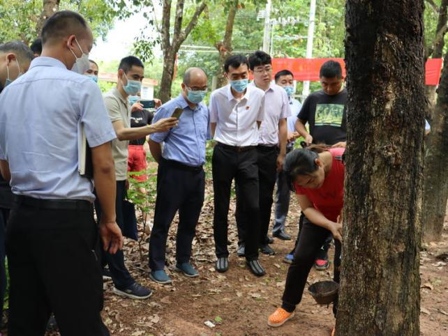 �ƽ�Ǽ��Ź���|��ҳ