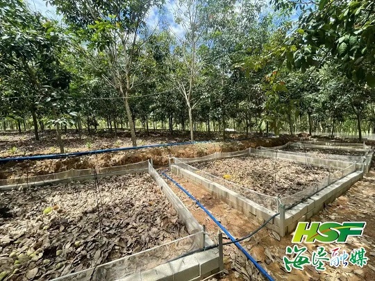 �ƽ�Ǽ��Ź���|��ҳ