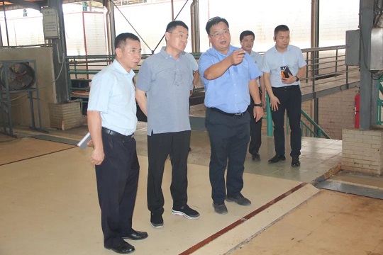 �ƽ�Ǽ��Ź���|��ҳ