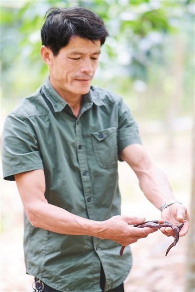 �ƽ�Ǽ��Ź���|��ҳ