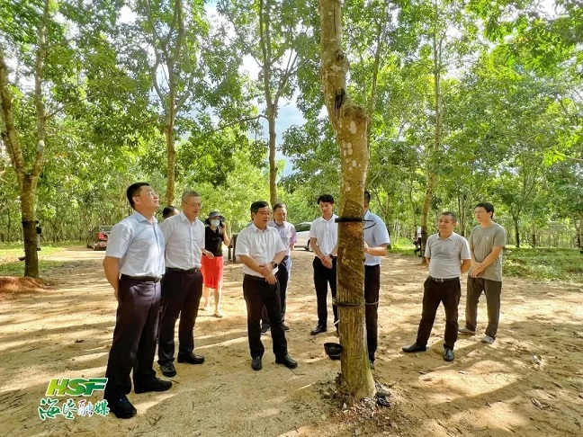 �ƽ�Ǽ��Ź���|��ҳ