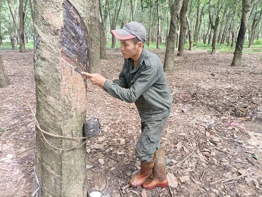 �ƽ�Ǽ��Ź���|��ҳ