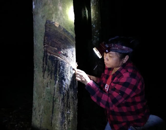 �ƽ�Ǽ��Ź���|��ҳ