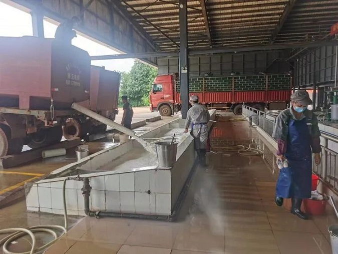 �ƽ�Ǽ��Ź���|��ҳ