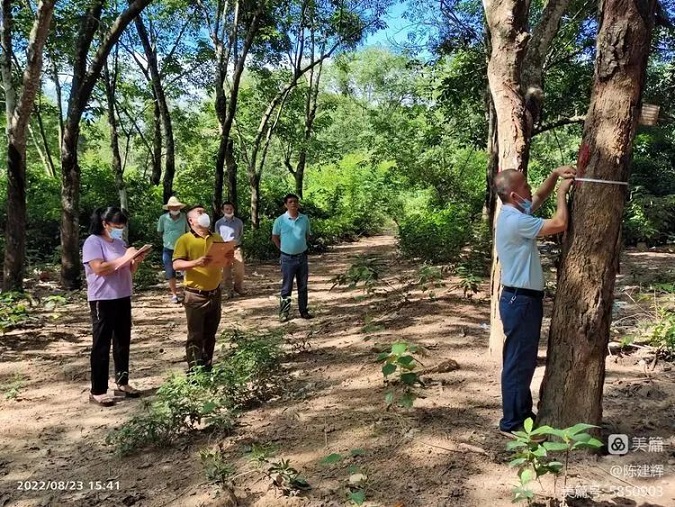 �ƽ�Ǽ��Ź���|��ҳ