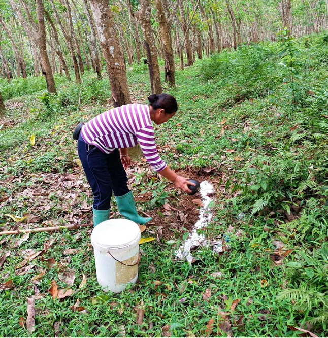 �ƽ�Ǽ��Ź���|��ҳ