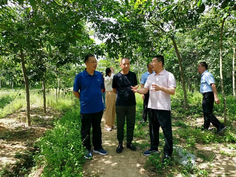 �ƽ�Ǽ��Ź���|��ҳ