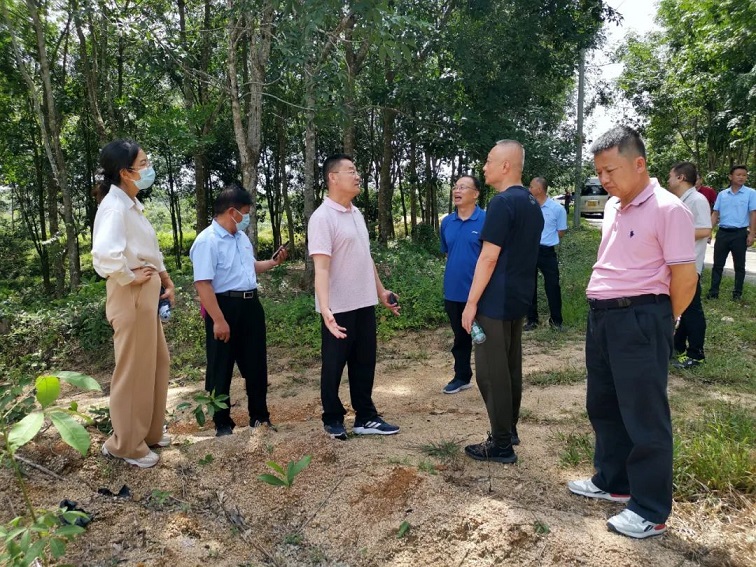 �ƽ�Ǽ��Ź���|��ҳ