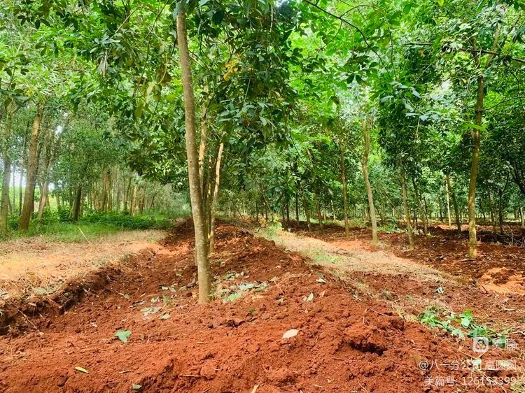 �ƽ�Ǽ��Ź���|��ҳ