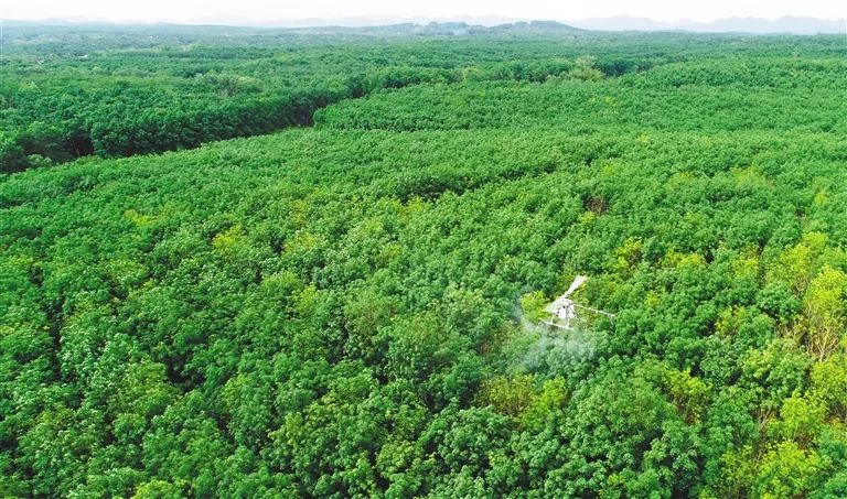 �ƽ�Ǽ��Ź���|��ҳ