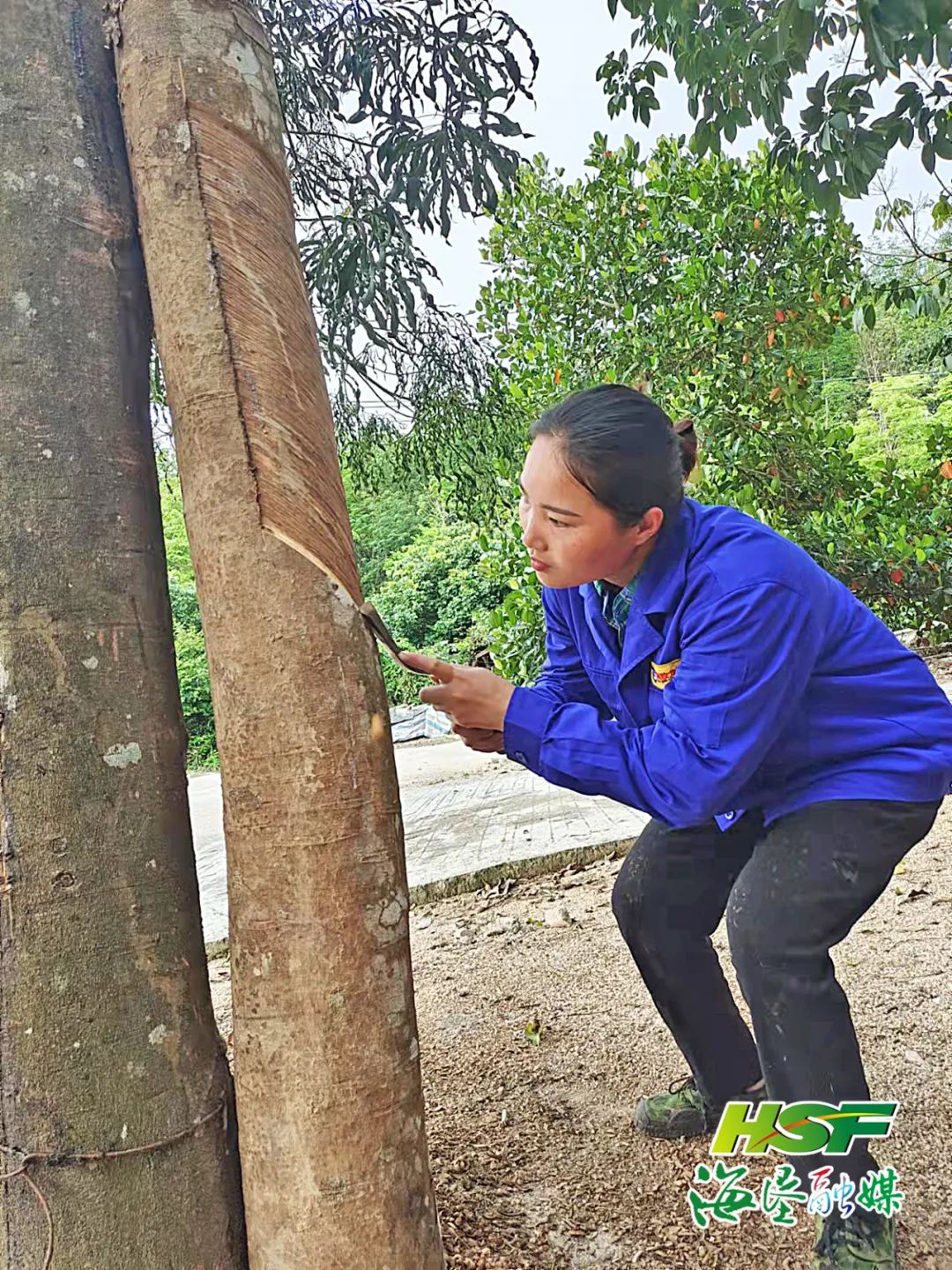 �ƽ�Ǽ��Ź���|��ҳ