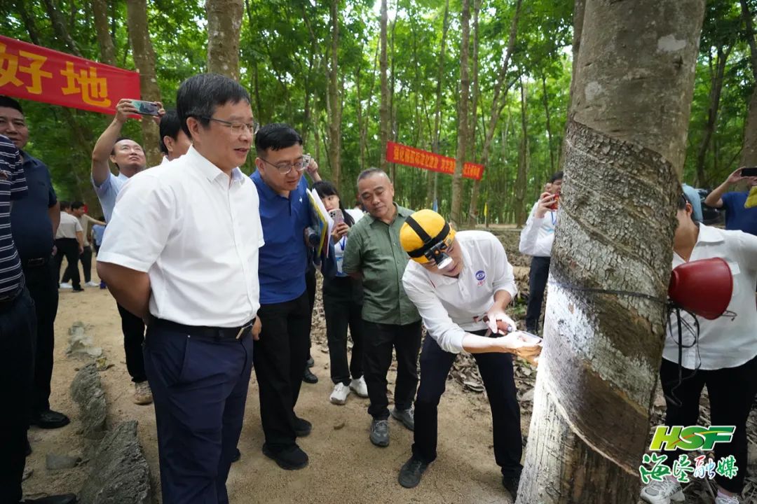 »Æ½ð³Ç¼¯ÍŹÙÍø|Ê×Ò³