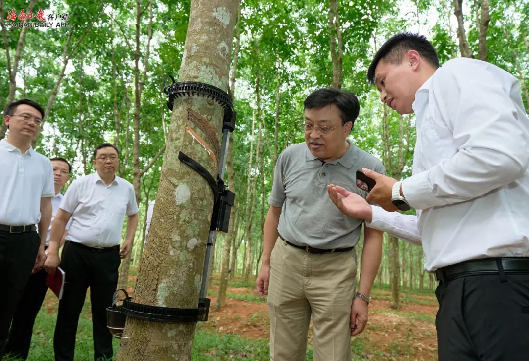 �ƽ�Ǽ��Ź���|��ҳ