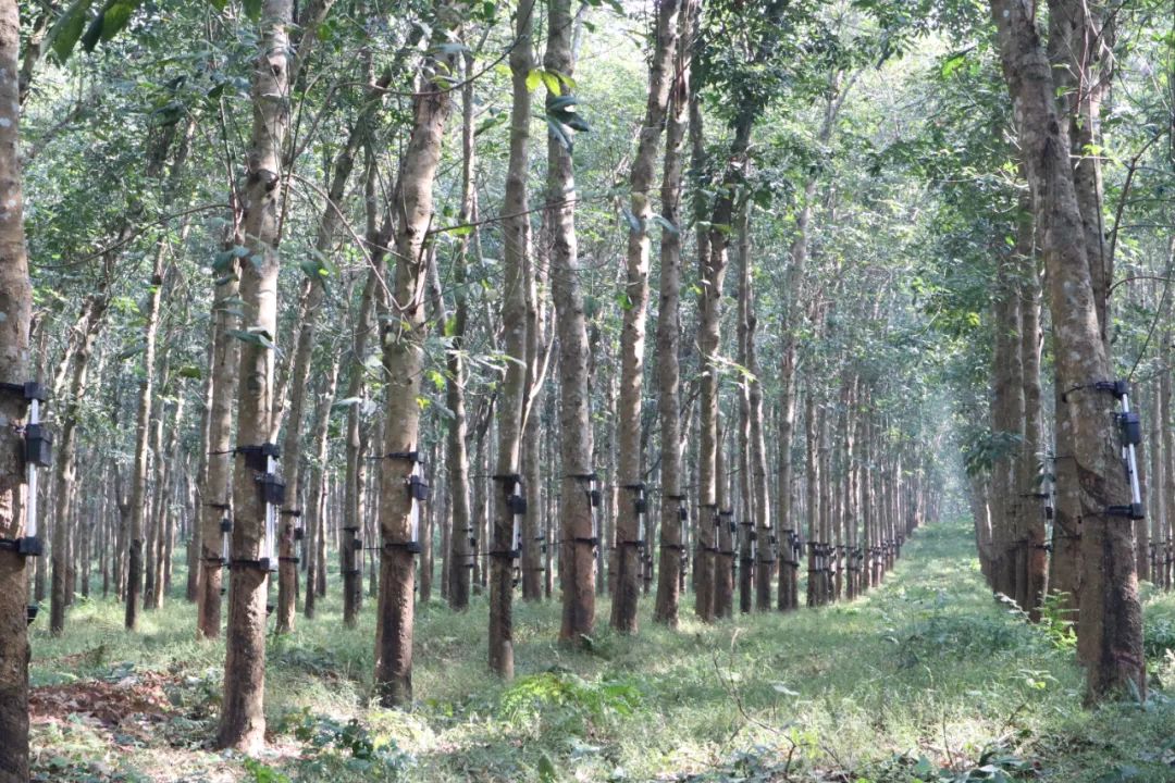 �ƽ�Ǽ��Ź���|��ҳ