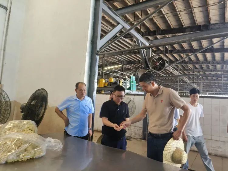 �ƽ�Ǽ��Ź���|��ҳ