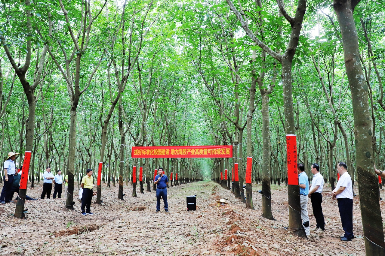 �ƽ�Ǽ��Ź���|��ҳ