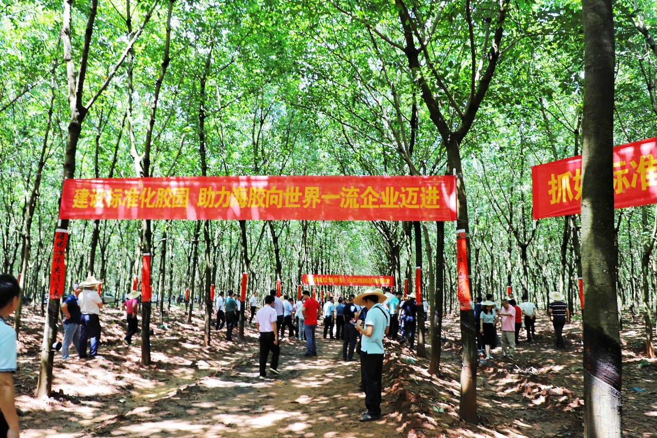 �ƽ�Ǽ��Ź���|��ҳ