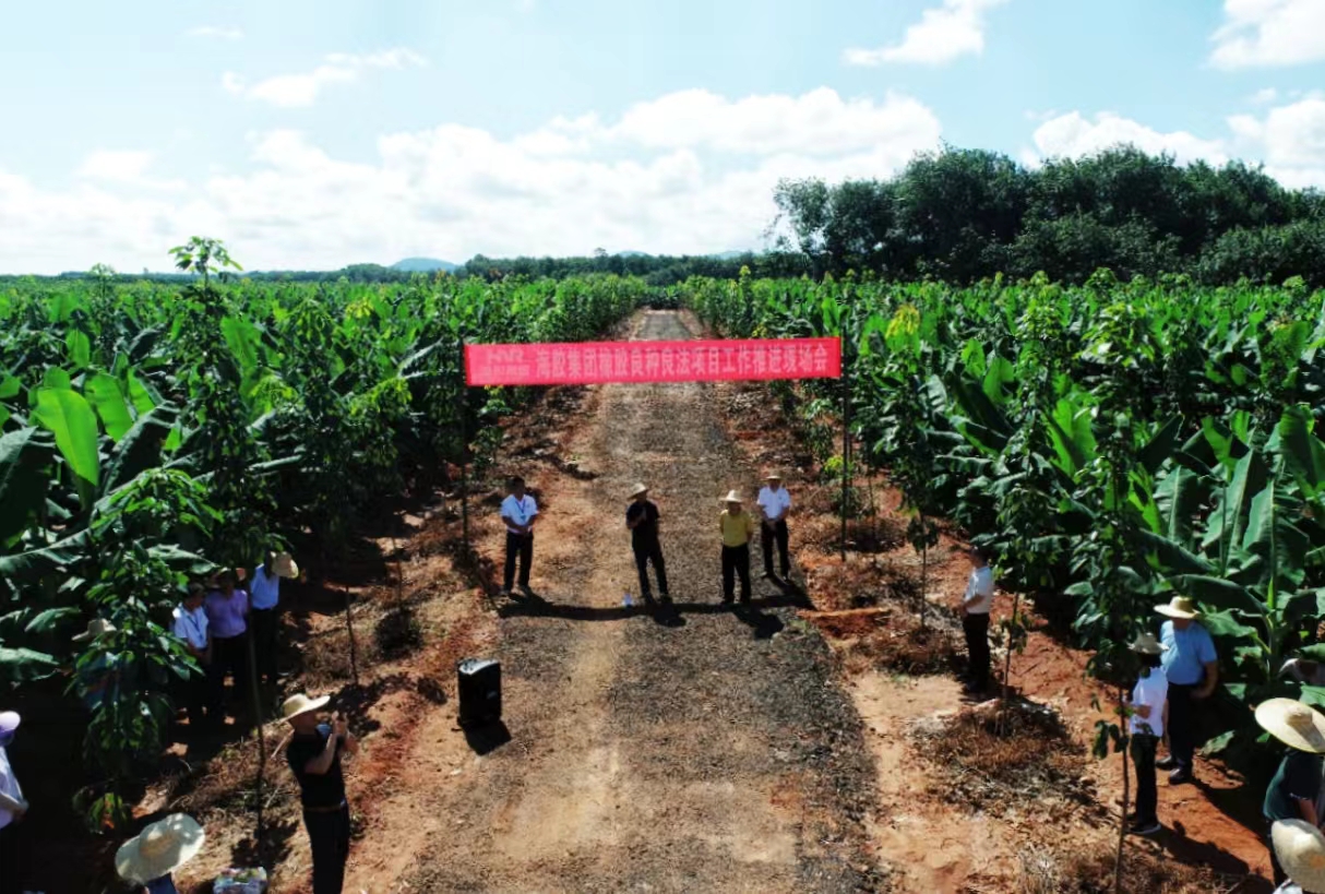 �ƽ�Ǽ��Ź���|��ҳ