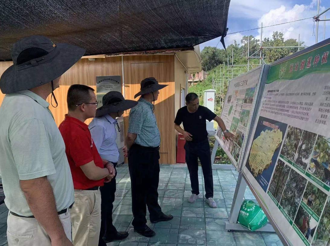 �ƽ�Ǽ��Ź���|��ҳ