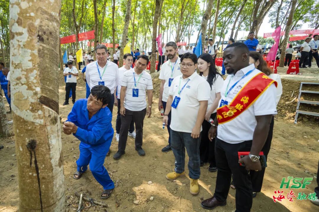 1775400020993037283.jpg 1775400020993037283.jpg